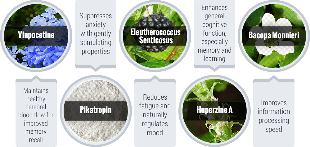 ingredient profile