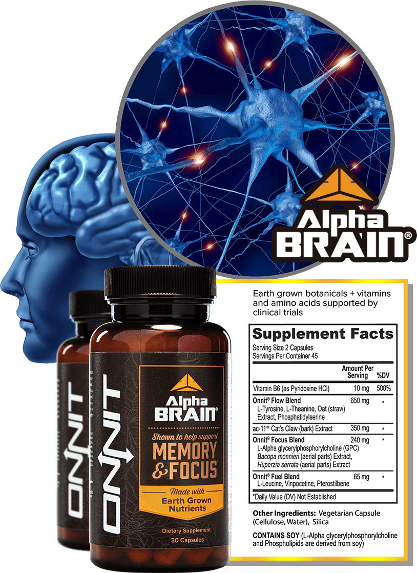 What is Alpha Brain?