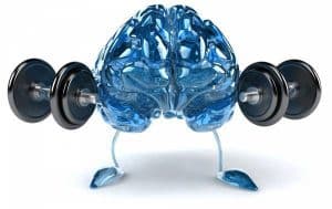 brain fitness