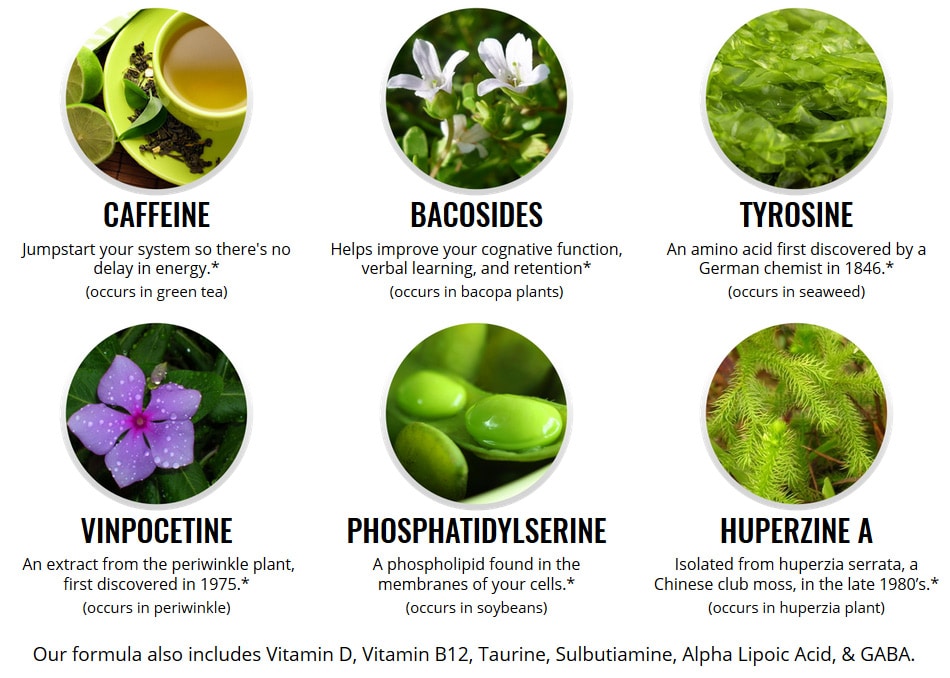  OptiMind Ingredients